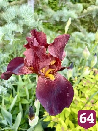 Вячеслав Володин поздравил россиян с Троицей фотографиями из саратовского монастыря